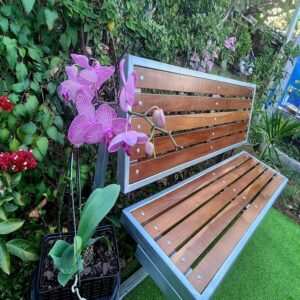 Banca de Madera para Jardín o Terraza